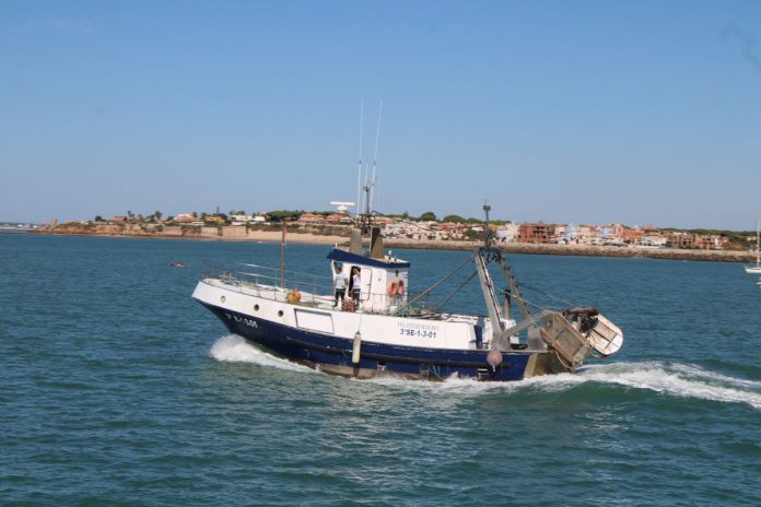 embarcaciones navegando por la bahia de Cádiz