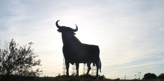 toro de osborne