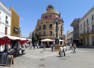 El gallo azul el gallo azul