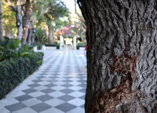 Jardines del paseo de Carlos III jardines del paseo de Carlos III