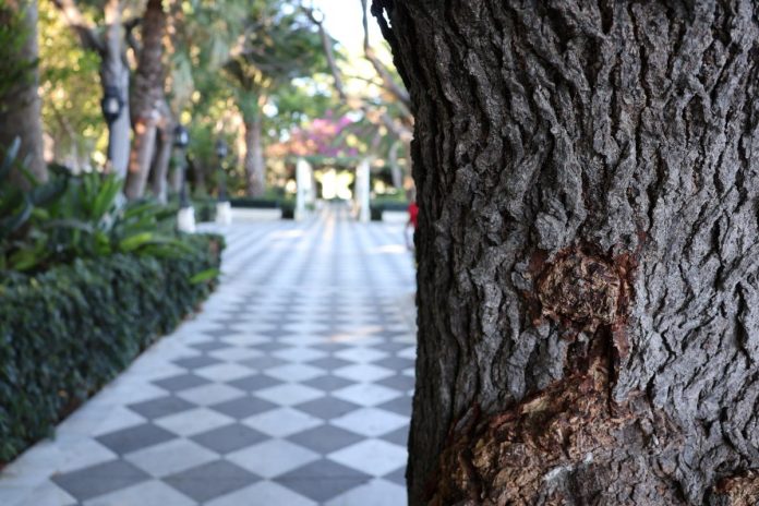 jardines del paseo de Carlos III
