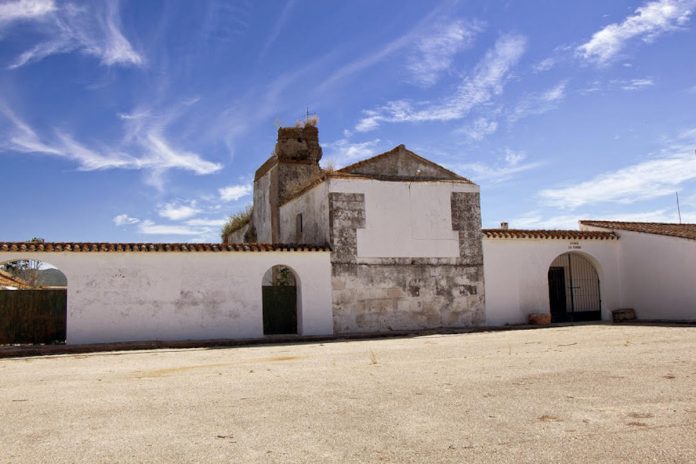 torre de pedro díaz