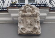 El águila de pagador El águila de pagador