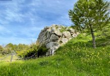 El muro que sostuvo el origen de Torredelcampo El muro que sostuvo el origen de Torredelcampo