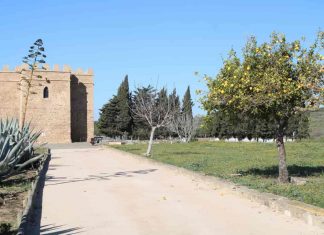 Castillo de Doña Blanca castillo de doña blanca