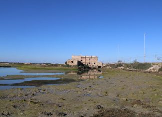Molino de mareas río Arillo molino de mareas río Arillo