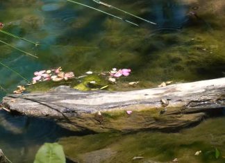 Cañón de las buitreras ruta del cañón de las buitreras