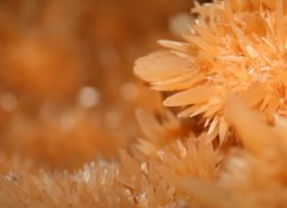 Cueva de la Pileta Cueva de las piletas