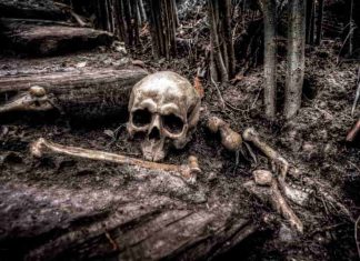 Historia de la cita de un hombre con la muerte cita de un hombre con la muerte