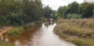 puente romano de niebla