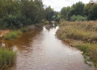 Puente Romano de Niebla puente romano de niebla