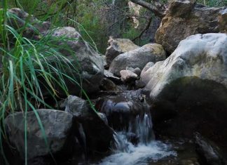 Sendero Charco de la Virgen sendero charco de la virgen