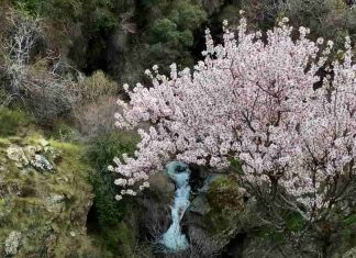 Vereda de la Estrella Vereda de la Estrella