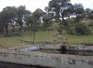 Sendero El Rumblar Sendero del Rumblar