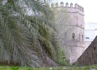 Torre de la Plata Torre de la Plata