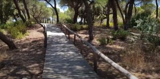 Parque Natural de los Enebrales en Punta Umbría