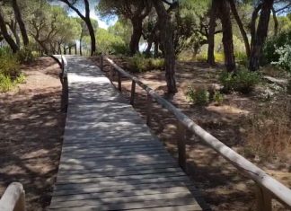 Parque natural de los Enebrales Parque Natural de los Enebrales en Punta Umbría