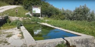 Fuente de las Pilas