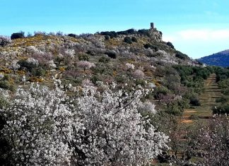 Atalaya de la Nava Atalaya de la Nava