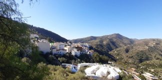 cementerio de Sayalonga - fotografía cortesía de María Pulido