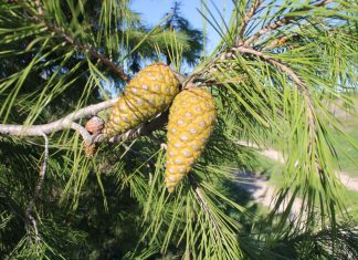 Parque Guadalete parque guadalete