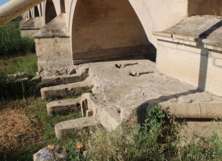 Puente de la Cartuja puente de la Cartuja