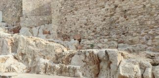 lienzo de la muralla de martos