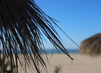 Playa de Valdelagrana playa de valdelagrana