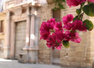 Casa del Almirante casa del almirante de Cádiz