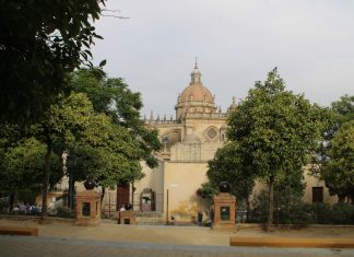 Catedral de Jerez de la Frontera catedral de jerez de la frontera