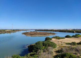 El valor de la soledad y el silencio el valor de la soledad y el silencio