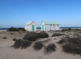 Echando la vista atrás a una época más feliz en la playa de Camposoto playa de Camposoto