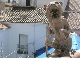 El gato de la Capilla de Jesús el gato de la capilla de Jesús