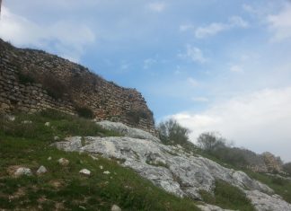 La condesa doña Irene la condesa doña irene