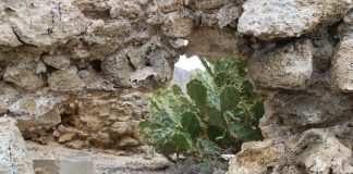 Molino grande Molino grande