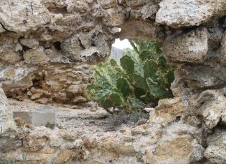 Molino grande Molino grande