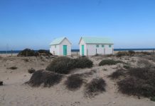 Sendero de la Punta del Boquerón sendero del boquerón