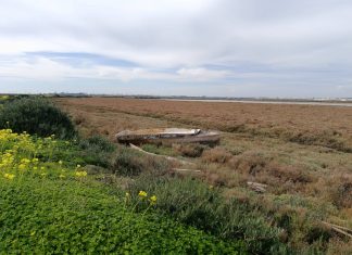 Oportunidades para encontrar nuevos rumbos historia de una barquita