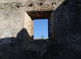 Experiencias compartidas de un médico rural historias perturbadoras como médico rural