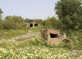 Cistas púnicas del cerro de los mártires cistas púnicas en el cerro de los mártires