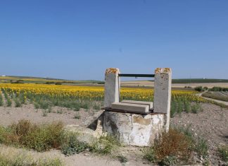 Pozo de la viña de María Manuela pozo de la viña de María Manuela