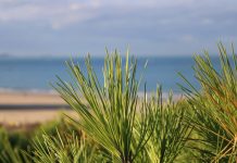 En busca de Dios en busca de Dios