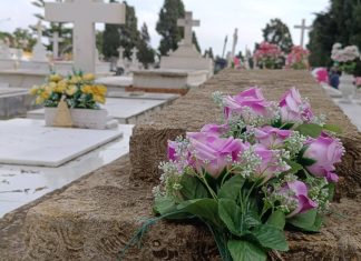 Un Encuentro con la Memoria en el Día de Todos los Santos dia de todos los santos