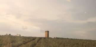 Torre del castillo de Villaverde en Montoro