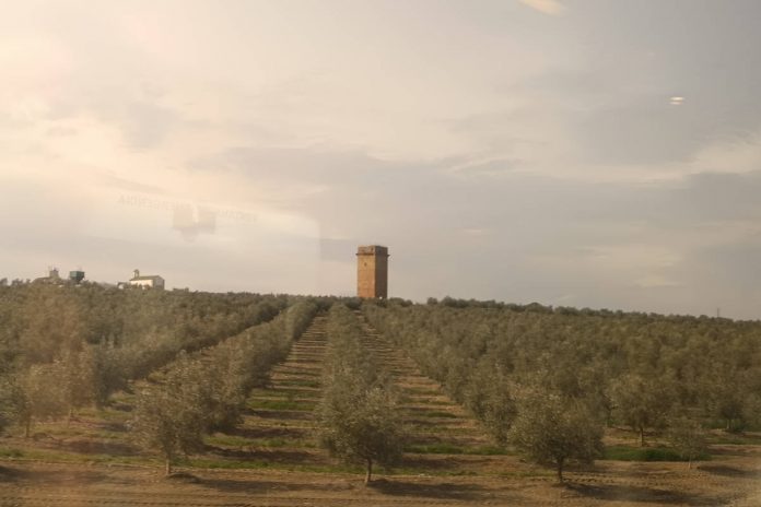 Torre del castillo de Villaverde en Montoro