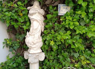 Destilería Cacao Pico destileria cacao pico