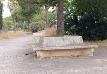 Por ti, papá: amor, memoria y gratitud Por ti, papá: amor, memoria y gratitud