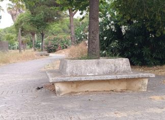 Por ti, papá: amor, memoria y gratitud Por ti, papá: amor, memoria y gratitud