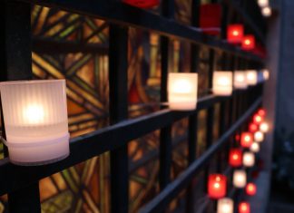 fiestas d elos patios a la luz de las mariposas