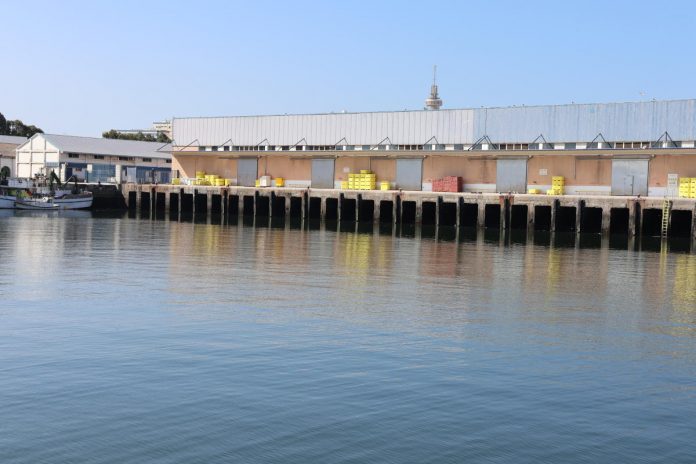 muelle comercial de Cádiz